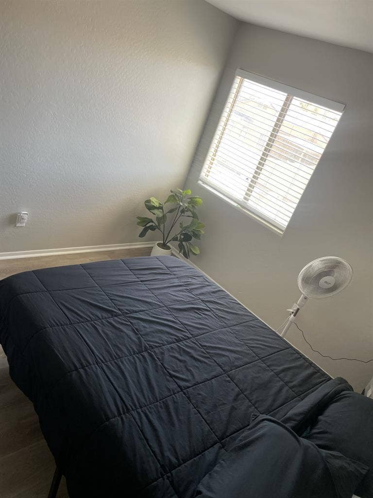 Peaceful Private Room for Rent