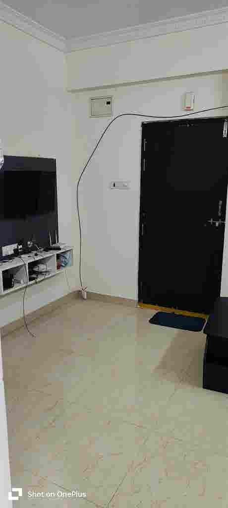 Flatmate Needed