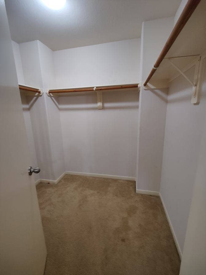 Ensuite - ALL Bills Paid!