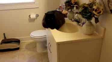 Studio Apartment For Rent