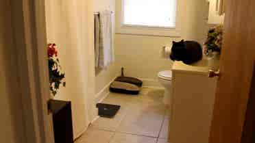 Studio Apartment For Rent