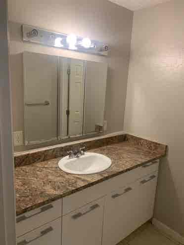 USF Room for Rent.