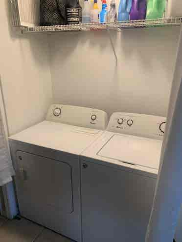 USF Room for Rent.