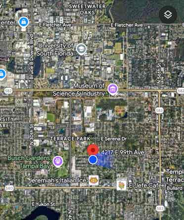 USF Room for Rent.