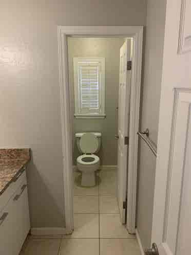 USF Room for Rent.