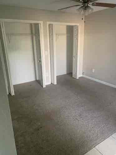 USF Room for Rent.