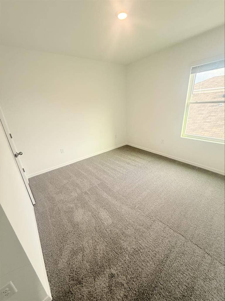 Room for rent in land o lakes