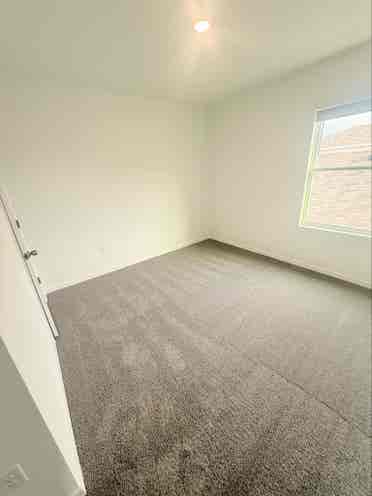 Room for rent in land o lakes