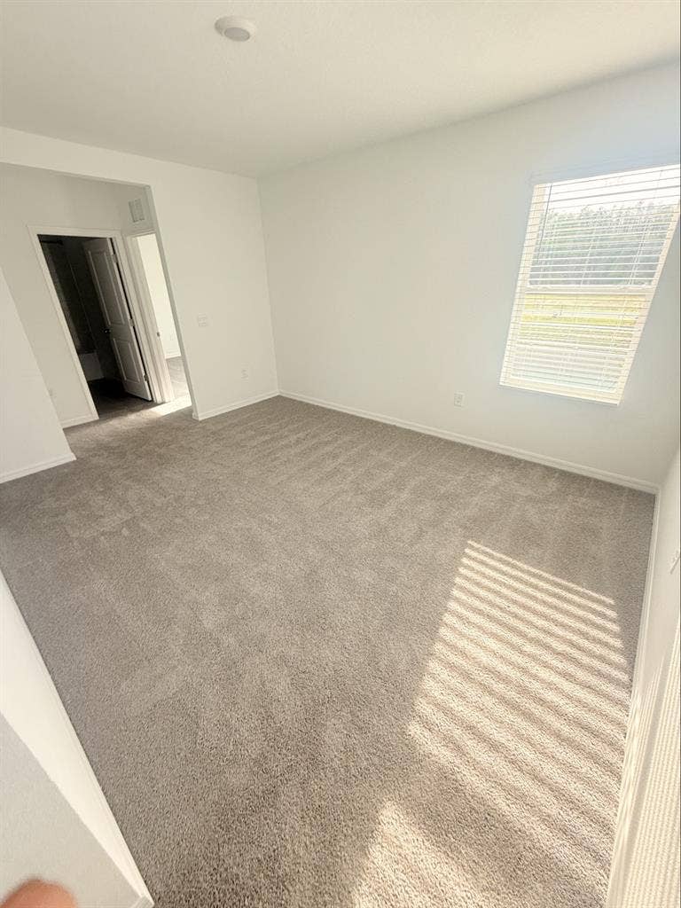 Room for rent in land o lakes