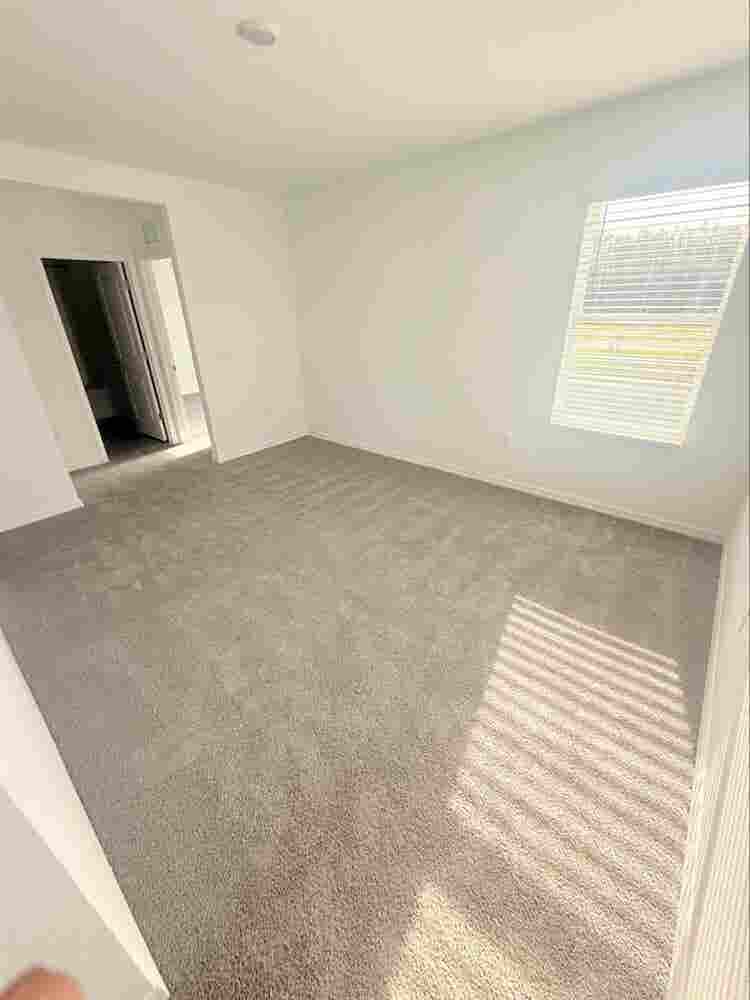 Room for rent in land o lakes