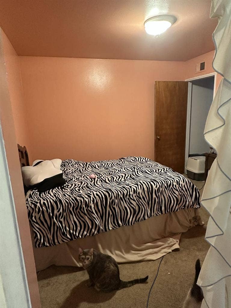 Looking for Roommate(s) for 3BR