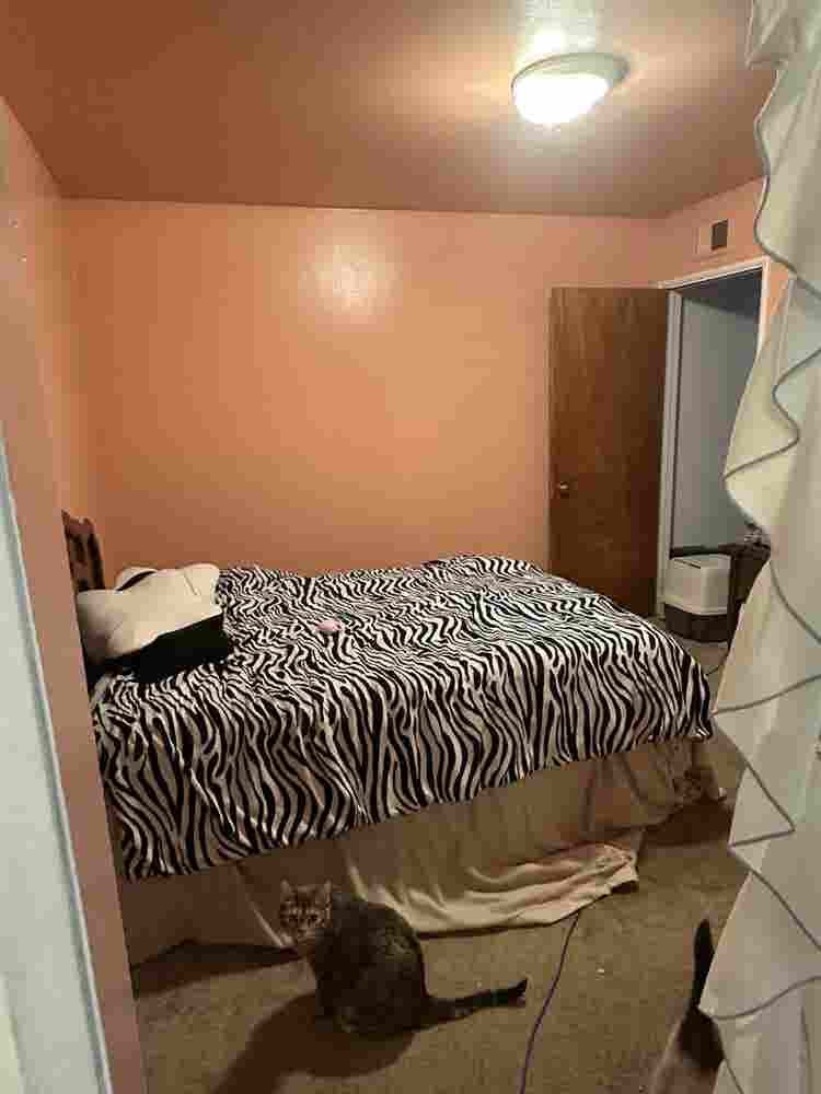 Looking for Roommate(s) for 3BR