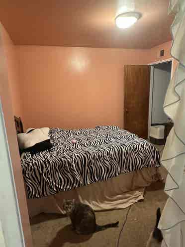 Looking for Roommate(s) for 3BR