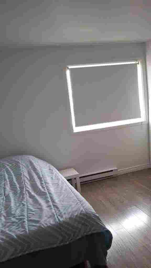 Chambre à louer