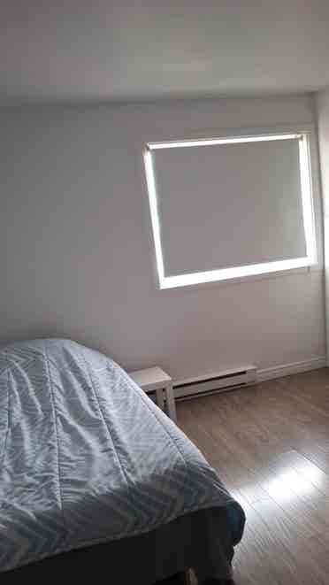Chambre à louer
