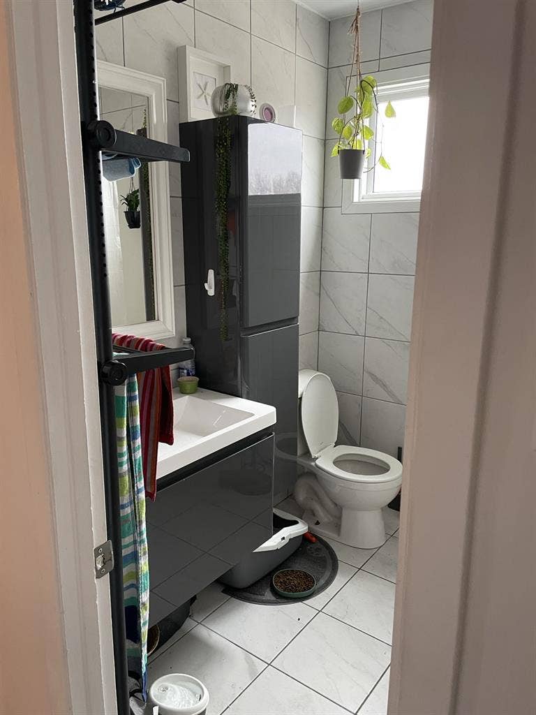 Chambre à louer