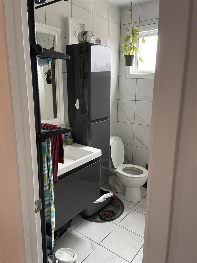 Chambre à louer