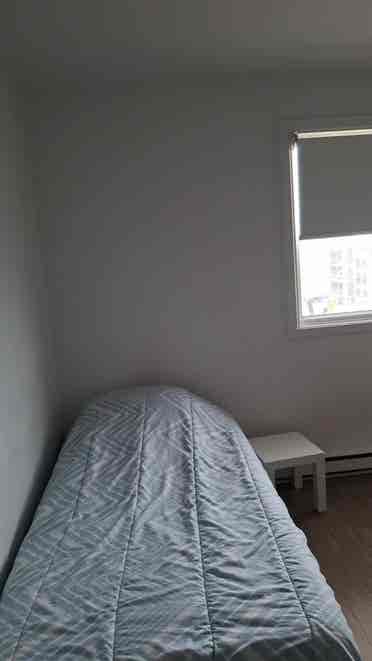 Chambre à louer