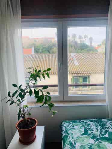 Nice room  Cacilhas, Lisboa