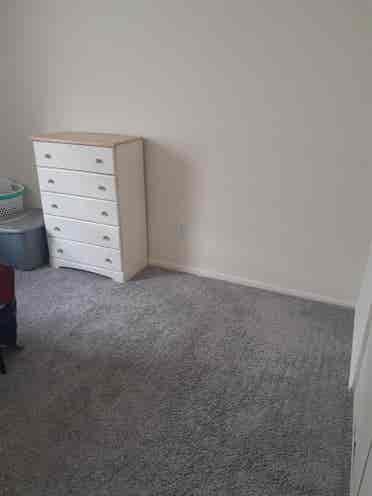Roommate at Hatfield Village