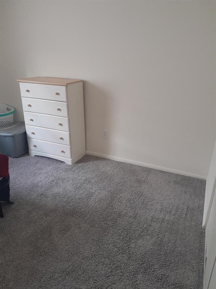 Roommate at Hatfield Village