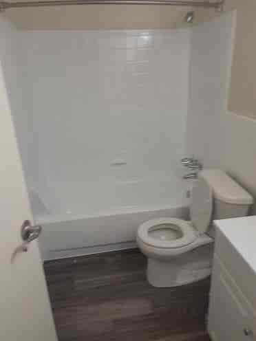 Roommate at Hatfield Village