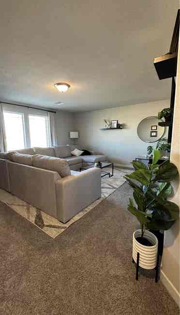 Room available!