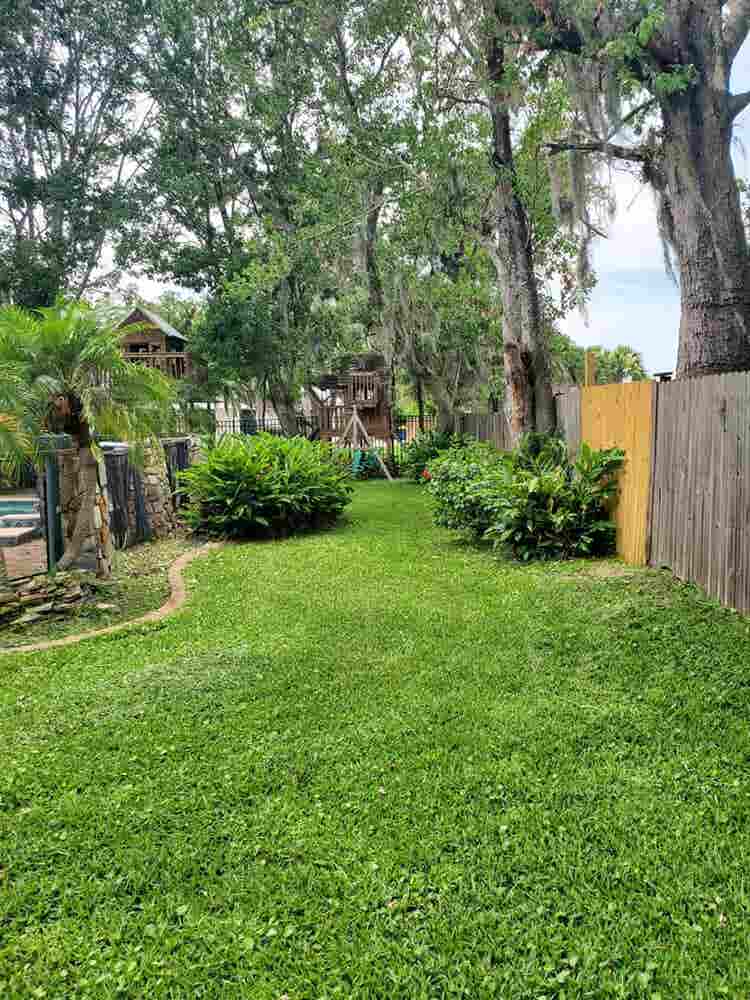 Large Bedroom. Big yard. Peaceful.