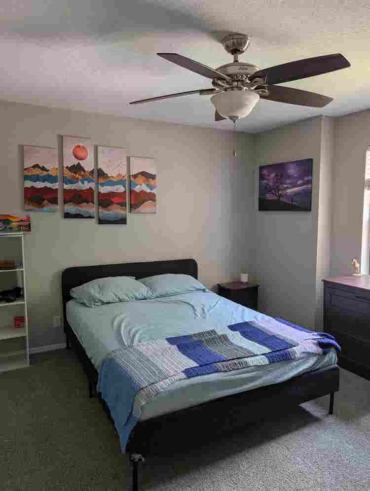 Need Temp Roomie