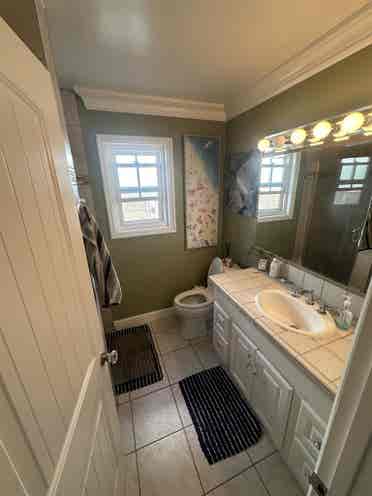 Looking for a Roommate!