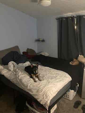 Room for rent starting September