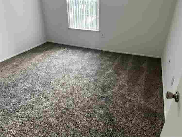 Wixom Apartment