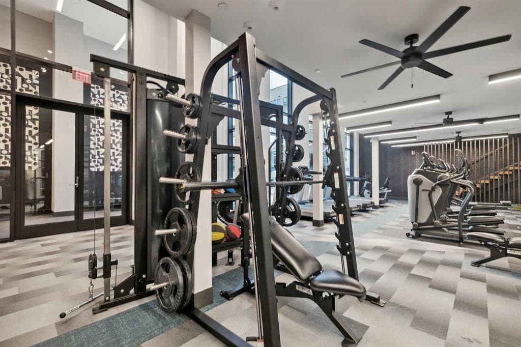 Luxury Apartment for rent