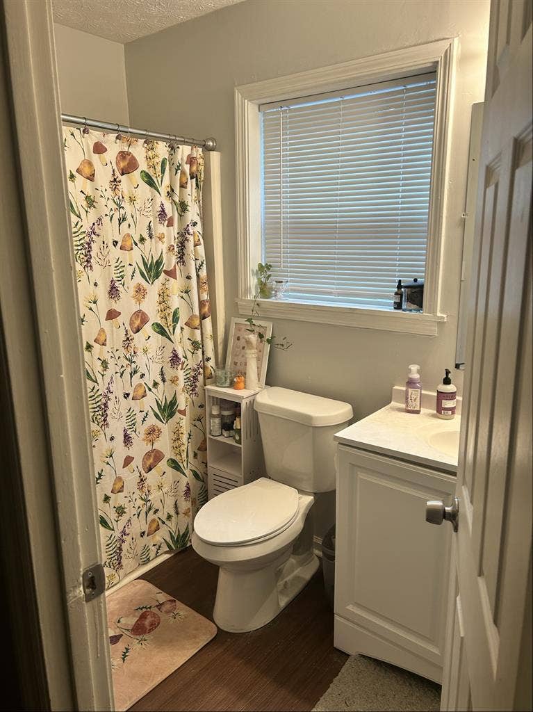 Looking for Roommate!Dog friendly