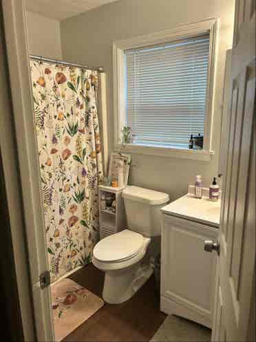 Looking for Roommate!Dog friendly