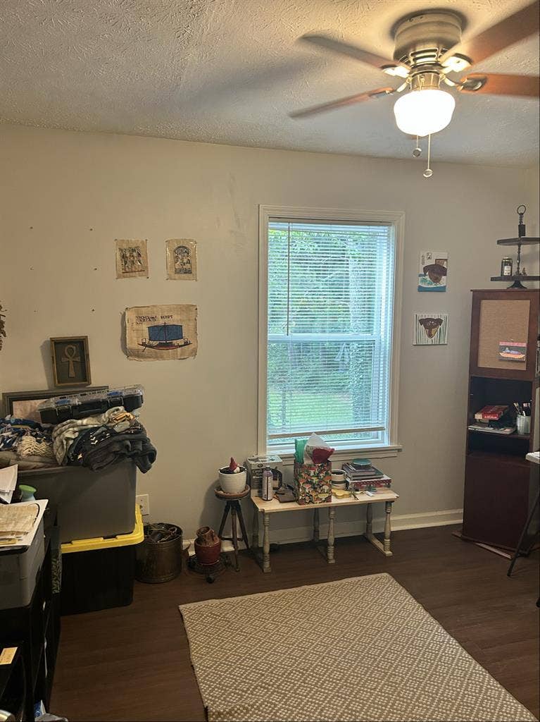 Looking for Roommate!Dog friendly