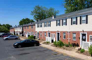 Looking for a roommate