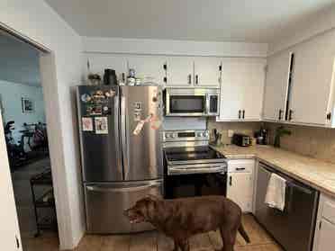 Room available in Santa Monica!!