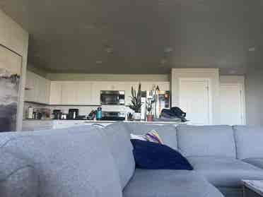 LGBTQ+ Room for rent