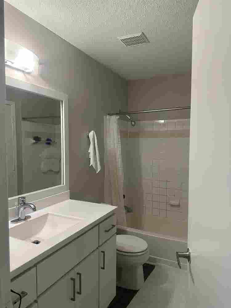 Looking for roommate ASAP b
