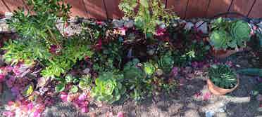 Home to share - Tujunga