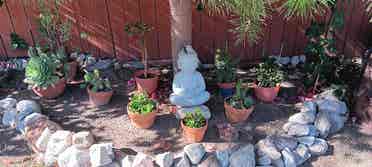 Home to share - Tujunga