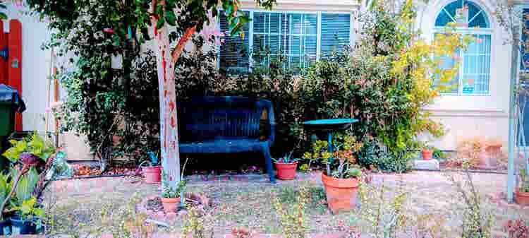 Huge Home to Share - Tujunga