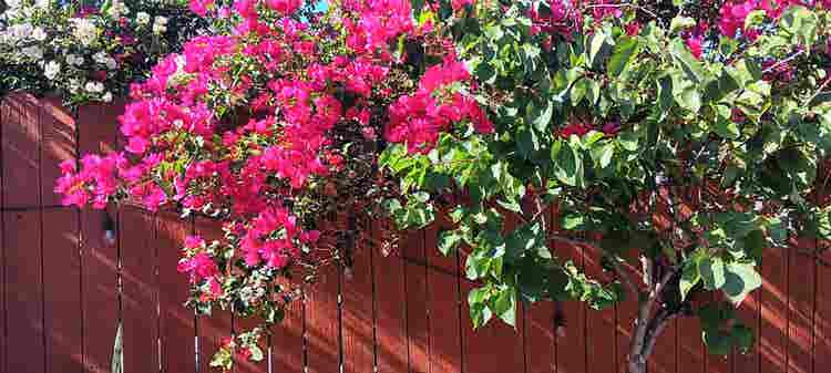 Home to share - Tujunga