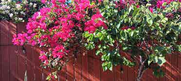 Home to share - Tujunga