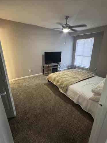 1BR Apartment - $/mo FLAT RATE