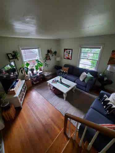 Private Room in Plaza Midwood