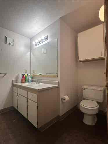 Looking for a female roommatee
