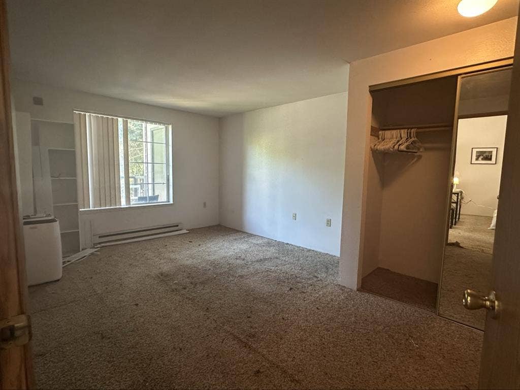 Looking for a female roommatee
