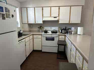 Looking for a female roommatee